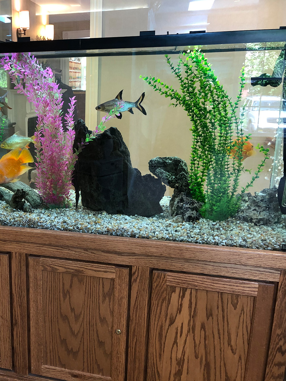 Kenneth W. Arida, DDS, PC | Dentures, Sports Mouthguards and All-on-4 reg 